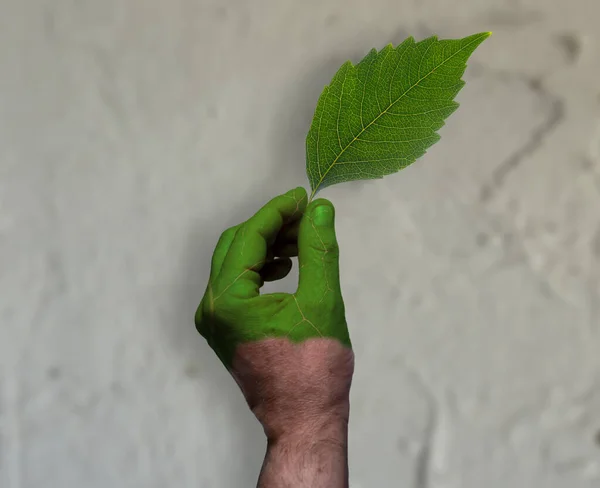 Lavado Verde Una Mano Parcialmente Pintada Con Textura Una Hoja — Foto de Stock