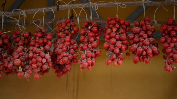 Tomates Vermelhos Pendurados Para Secar Vento Toscana Itália — Vídeo de Stock