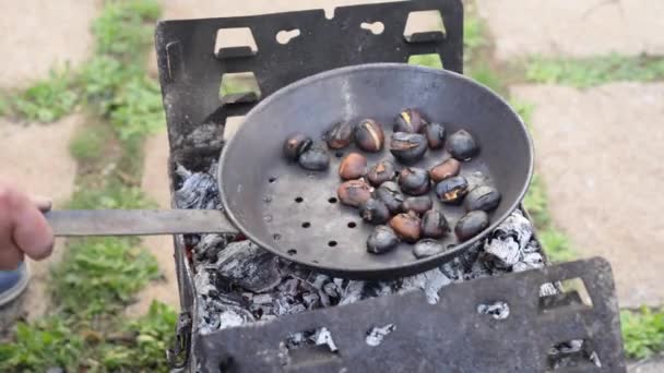 Castañas Asadas Parrilla Una Cacerola Perforada Cocinar Parrilla Aire Libre — Vídeo de stock