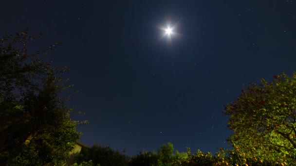 Nachtaufnahme Mit Mond Und Sternen Aus Dem Garten Landschaft Mit — Stockvideo