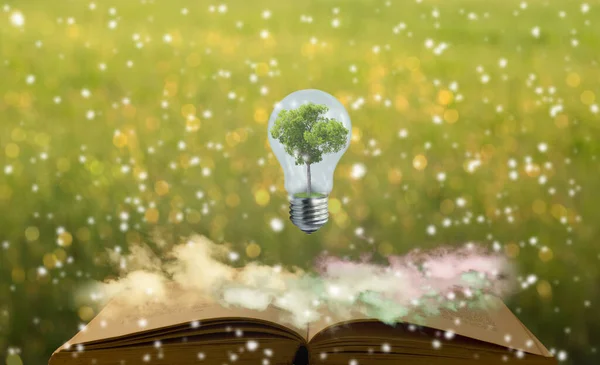 Знания Лампочка Деревом Внутри Подвешенная Старой Открытой Книге Красочные Облака — стоковое фото