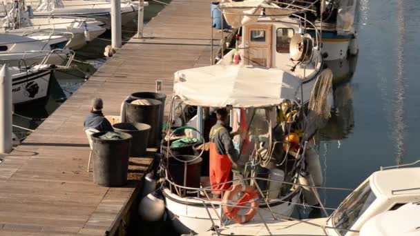 San Vincenzo Italia 2021 Los Pescadores Ponen Orden Red Pesca — Vídeos de Stock