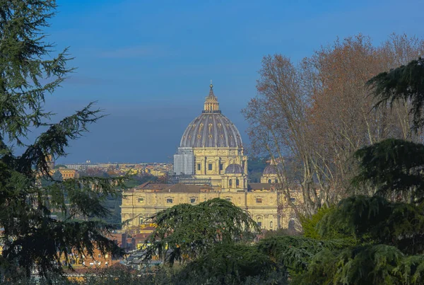 Church San Pietro Vaticano Seen Trees Janiculum Hill Rome Italy — Stock Photo, Image