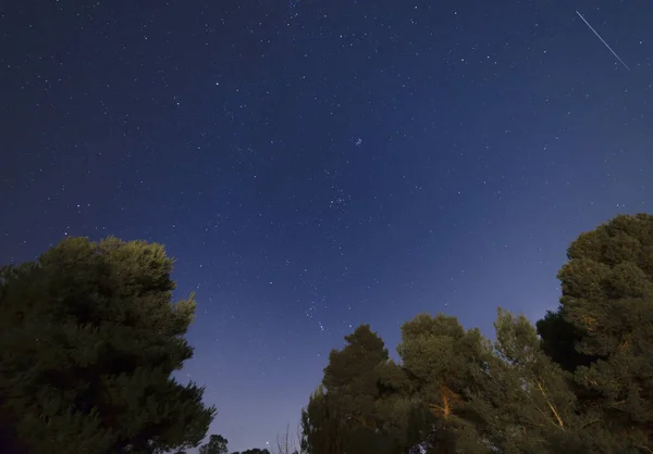 夜空中的星空 有一颗彗星 一颗小行星 一颗流星在树上的天空中飞翔 — 图库照片