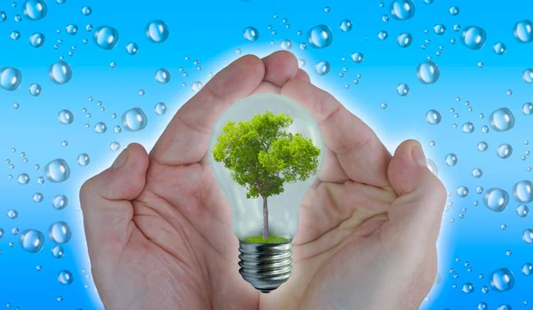Изменение Климата Природные Ресурсы Концепция Воды Растительности Мужские Руки Держат — стоковое фото