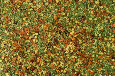 Aglio olio e peperoncino: geleneksel İtalyan spagettisi. Maydanozlu, tuzlu ve baharatlı sarımsak, yağ ve biber. Düz arkaplan