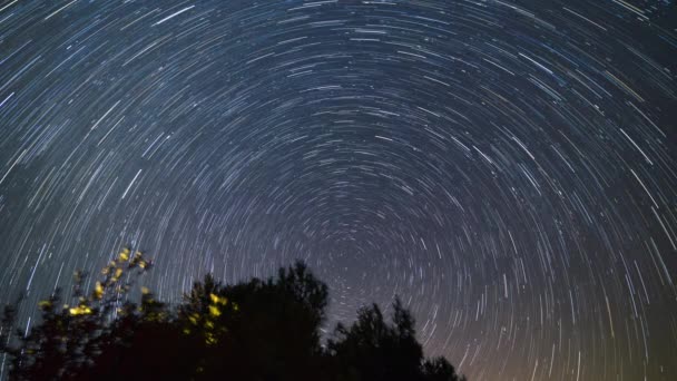 星は北の星の周りを移動します 前景の木々 イタリアの夜空に星の道の時間経過 — ストック動画