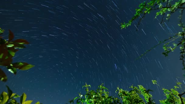 Stelle Muovono Intorno Alla Stella Polare Incorniciata Alberi Frutto Time — Video Stock