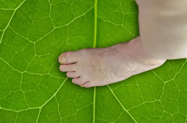 Man Bare Foot Top View Texture Green Leaf — стоковое фото