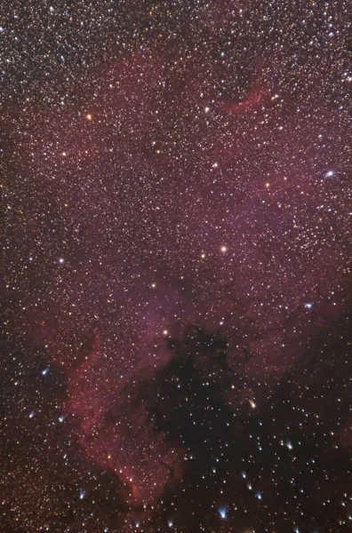 North America Nebula Cygnus Constellation Photographed Full Spectrum Reflex Night — Stock Photo, Image