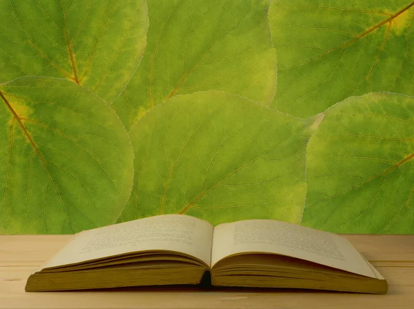 Old Open Book Table Background Magnified Yellow Green Leaf Pattern — стоковое фото