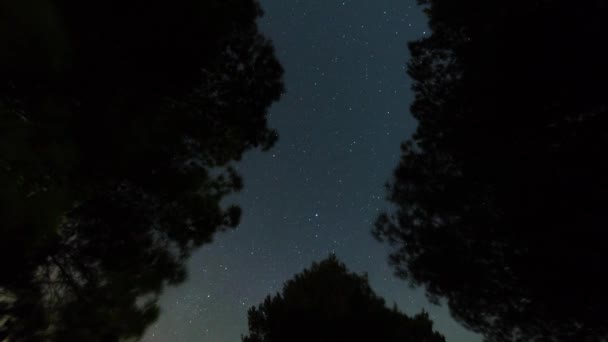 夜空に動く星の軌跡のタイムラプス トスカーナの森の木々の間の天の川 — ストック動画