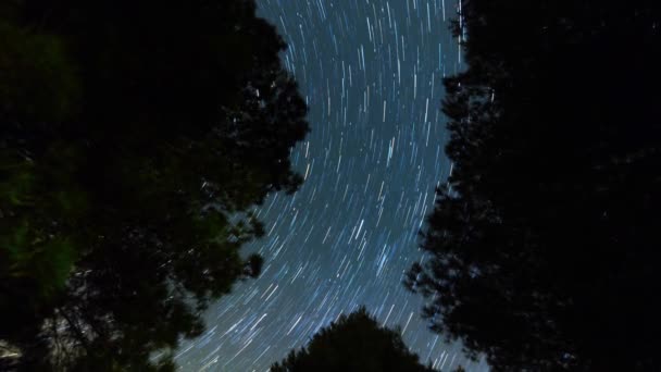 Sentieri Stellari Stelle Che Muovono Nel Cielo Notturno Lattea Come — Video Stock