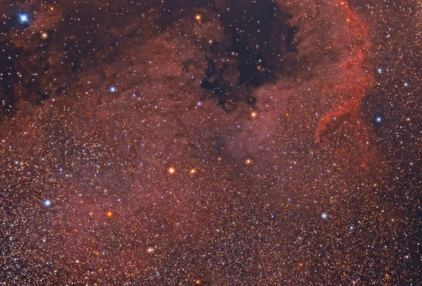 North America Nebula Emission Nebula Constellation Cygnus Close Deneb Shape — Stock Photo, Image