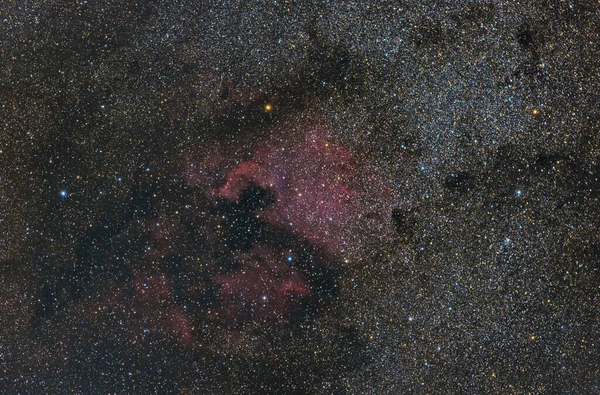 Milky Way Constellation Cygnus North America Nebula Night Sky Chart — Stock Photo, Image