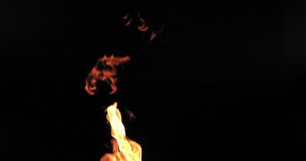 Une flamme orange vif vers le haut s'élève sur un fond noir — Video