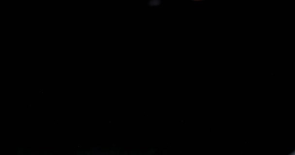Sárgabarack esik vízbe, fekete alapon, közelkép lassított felvétel — Stock videók