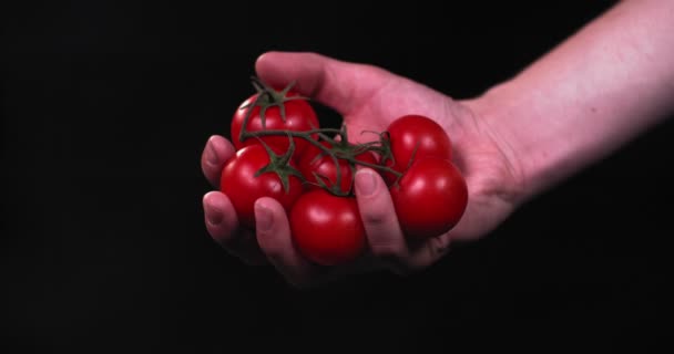 男性の手は、トマトの平坦化野菜と枝を絞る — ストック動画