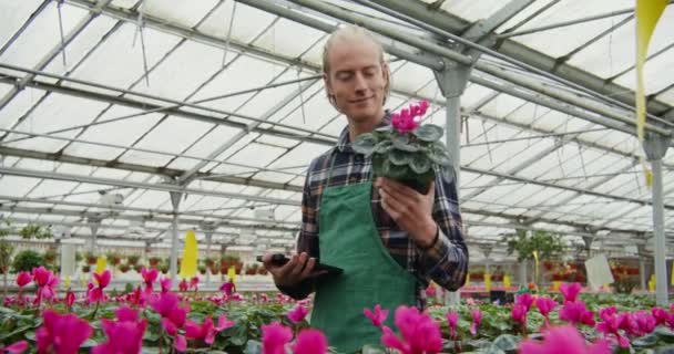 Homem caminha entre mesas com plantas com flores em vasos e verifica a sua qualidade — Vídeo de Stock