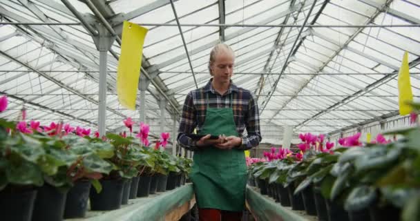 El hombre camina entre mesas con plantas con flores en macetas y comprueba su calidad — Vídeo de stock