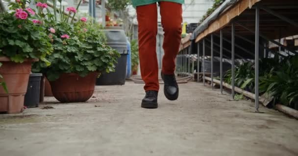 Een jonge man loopt in een bloemenkas tussen potten met verschillende planten — Stockvideo