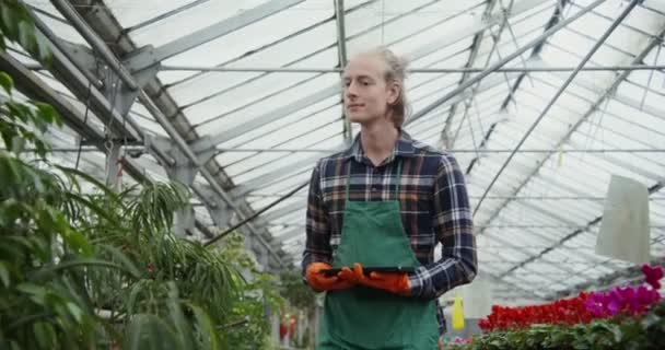 Man går mellan bord med blommande växter i krukor och kontrollerar deras kvalitet — Stockvideo