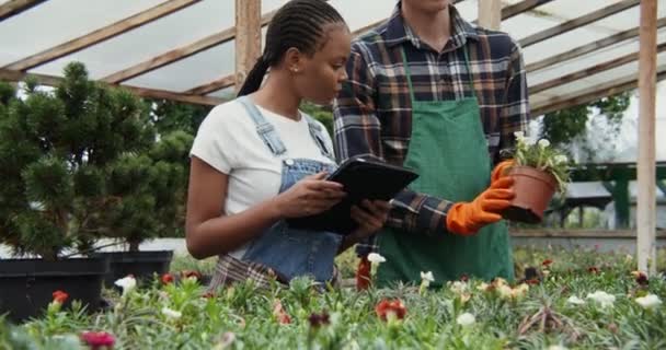 En ung man och kvinna arbetar i ett blomsterväxthus, undersöker blommor — Stockvideo