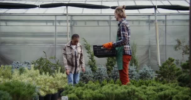 Una mujer joven selecciona plantas para comprar, un florista la ayuda — Vídeos de Stock