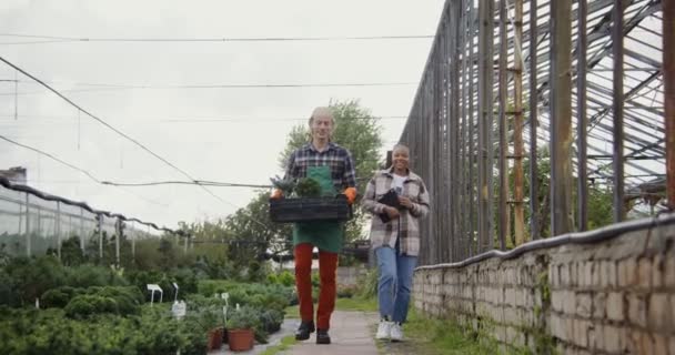 Um florista masculino carrega uma caixa de plantas, ao lado dele é uma mulher afro-americana — Vídeo de Stock