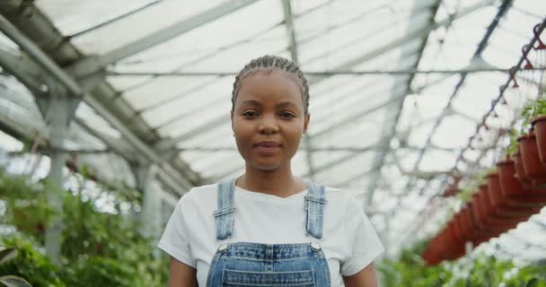 Afro-amerikai nő áll egy üvegházban, és mosolyog a kamerába — Stock videók