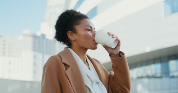 Femme d'affaires afro-américaine marchant dans le centre d'affaires d'une ville — Video