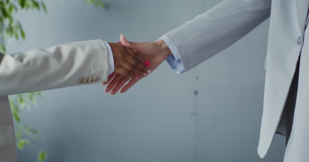 ビジネススーツの2人の若い女性がビジネス会話の後で握手をしている — ストック動画