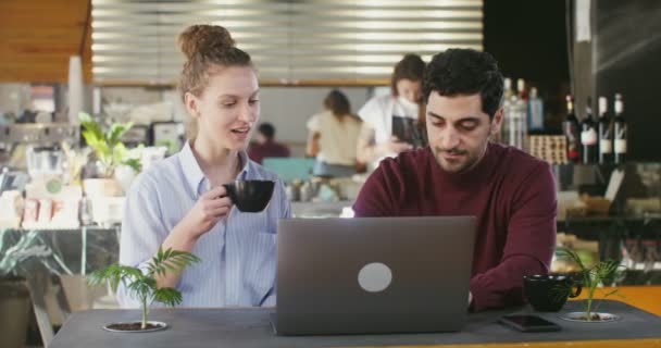 Jeune couple souriant et parlant tout en utilisant un ordinateur portable dans un café confortable moderne — Video