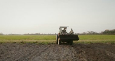 Erkek bir traktör sürücüsü tarlayı sürerken tarım traktörü kullanıyor.