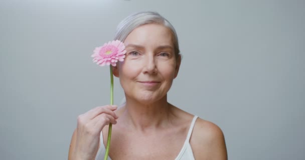 Літня біла модель позує з квіткою гербери, погладжуючи її обличчя — стокове відео