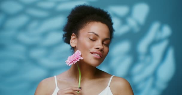 A young African American woman running a pink gerbera flower along her face — стоковое видео