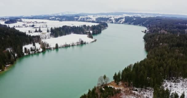 Widok szerokiej rzeki płynącej wśród lasów świerkowych i pól pokrytych śniegiem — Wideo stockowe