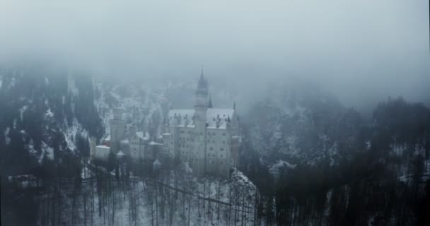 Hohenzollern Κάστρο, που βρίσκεται στην κορυφή ενός λόφου κατάφυτη με δάσος ερυθρελάτης — Αρχείο Βίντεο