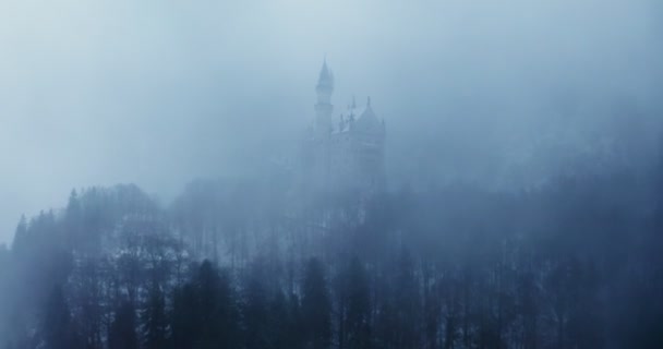 Castillo de Hohenzollern, situado en la cima de una colina cubierta de bosque de abetos — Vídeo de stock