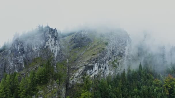 Montañas rocosas cubiertas de bosque de abetos y cubiertas de densas nubes blancas — Vídeos de Stock