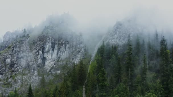 Ein Gebirgsfluss, der aus den steilen, felsigen Bergen inmitten des Fichtenwaldes fließt lizenzfreies Stockvideo