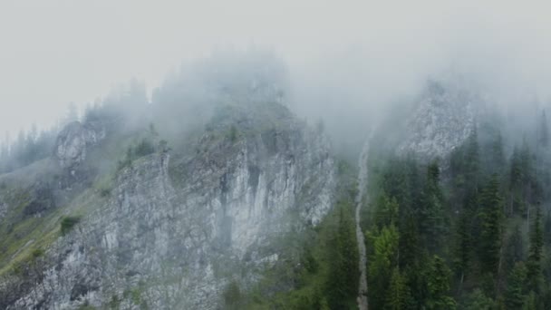 Un río de montaña que fluye de las escarpadas montañas rocosas entre el bosque de abetos — Vídeo de stock