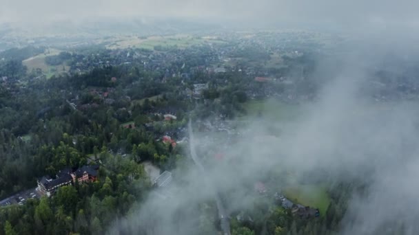 Vídeo de un dron, una vista de una ciudad situada en un bosque de abetos cerca de un campo — Vídeo de stock