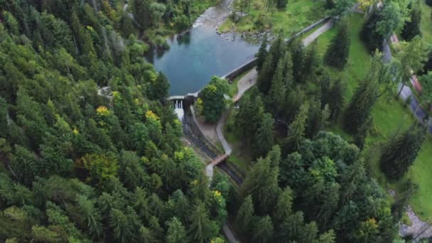 Vista superior desde un dron en una reserva natural con un lago entre un bosque de abetos — Vídeo de stock
