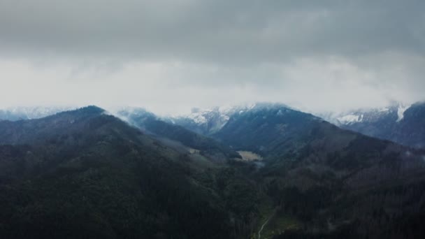 Ein Fluss in einer Tiefebene am Fuße sanft abfallender Berge mit Fichtenwald — Stockvideo