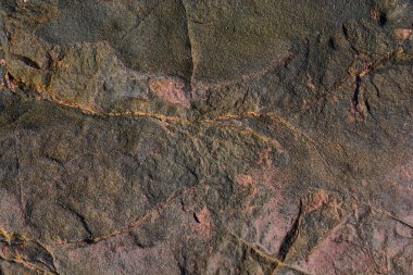 Deniz taşı dokusunun siyah, kırmızı ve sarı dokusu