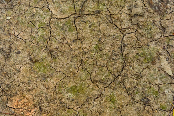 Gran Barro Rojo Oscuro Textura Grieta Seca Suelo Temporada Sequía — Foto de Stock