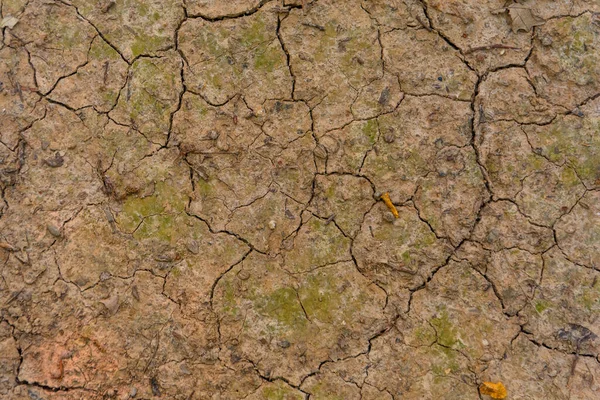 Grande Lama Textura Vermelha Rachadura Seca Chão Estação Seca — Fotografia de Stock