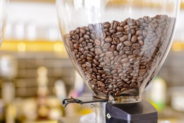 Kahve değirmeni kahve öğütmek hazırlanıyor