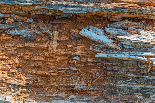 Yeşil Tarladaki Eski Kırık Kereste Dokusuna Yaklaş — Stok fotoğraf